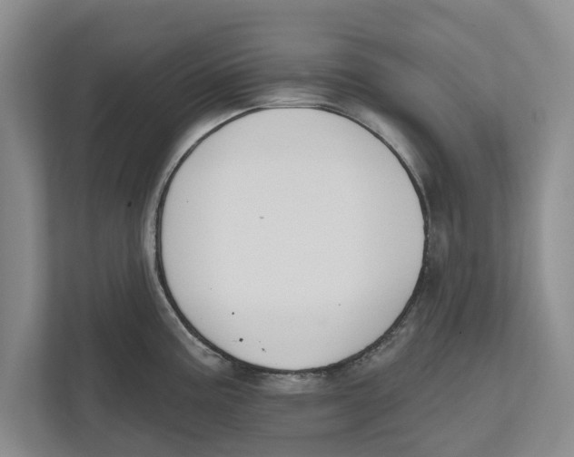 X0000112481195200909141137