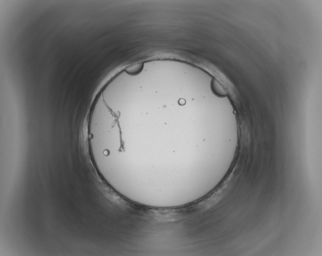 X0000112481198200909141137