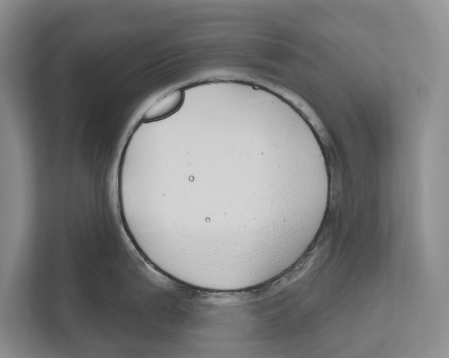 X0000112481199200909141137