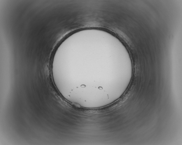 X0000112481212200909141137