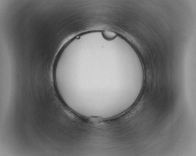 X0000112481230200909141137