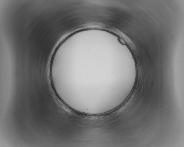 X0000112481240200909141137