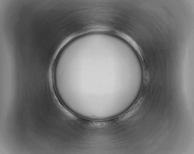 X0000112481243200909141137