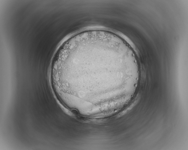 X0000112481245200909141137