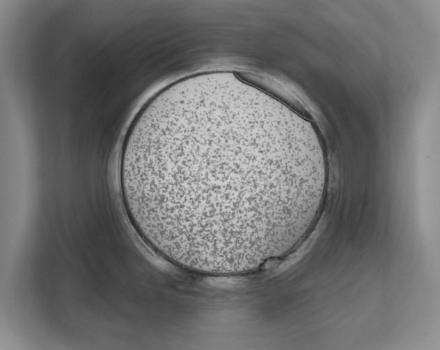 X0000112481246200909141137