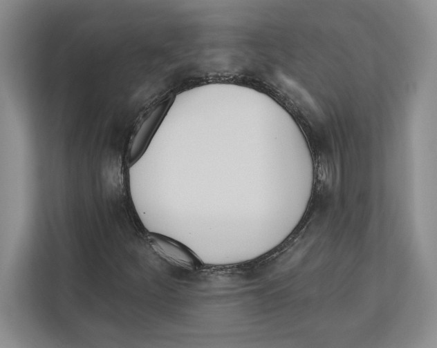 X0000112481252200909141136