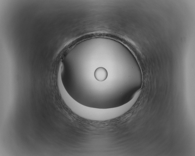 X0000112481255200909141136