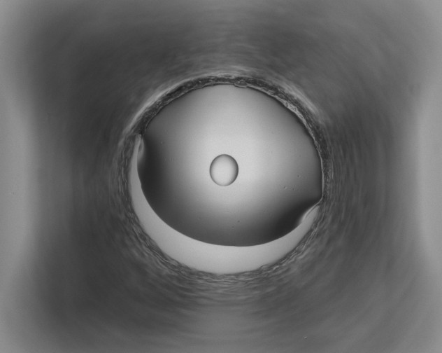 X0000112481256200909141136