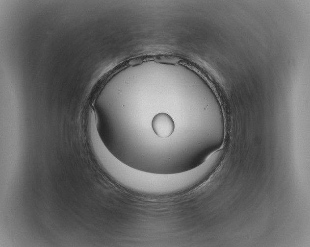 X0000112481261200909141136