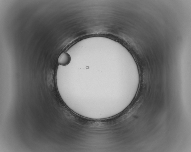 X0000112481265200909141136