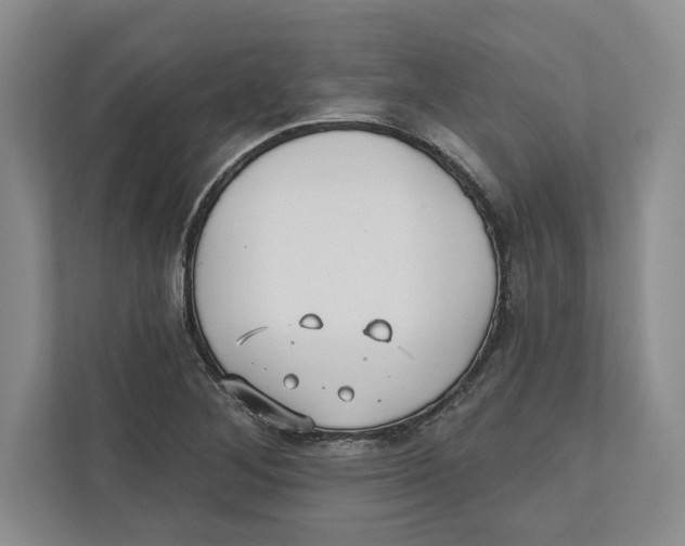 X0000112481268200909141136