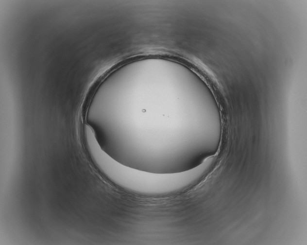 X0000112481269200909141136