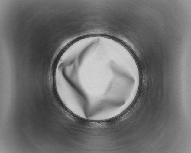 X0000112481270200909141136