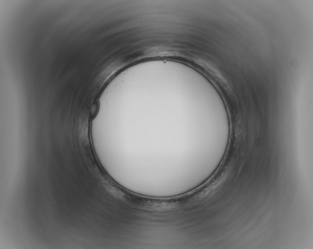 X0000112481273200909141136