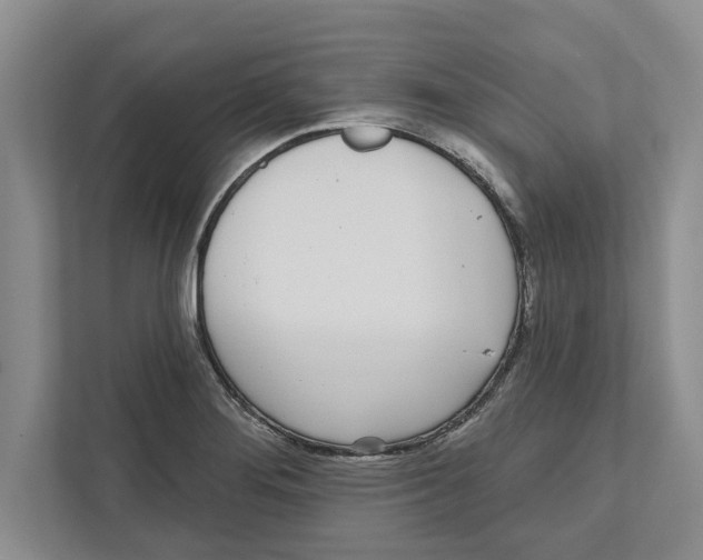 X0000112481276200909141136