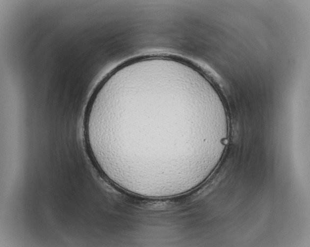 X0000112481279200909141136