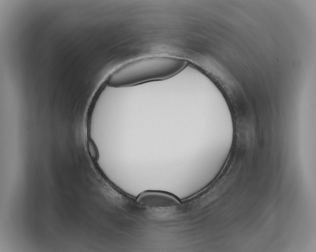 X0000112481280200909141136