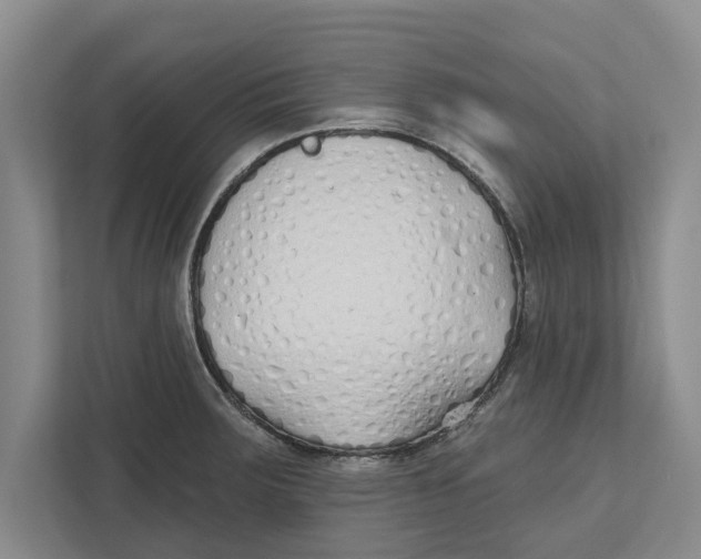 X0000112481283200909141136