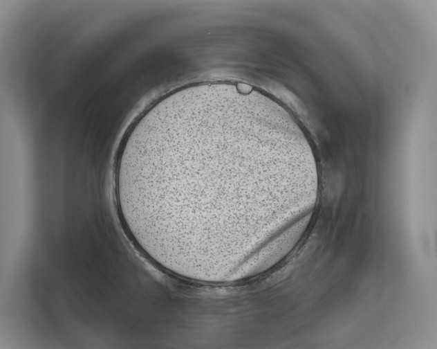 X0000112481286200909141136