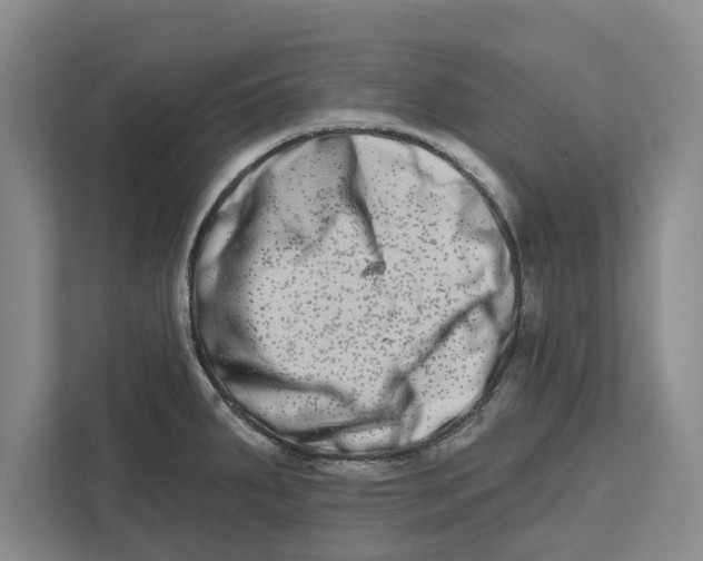 X0000112481287200909141136