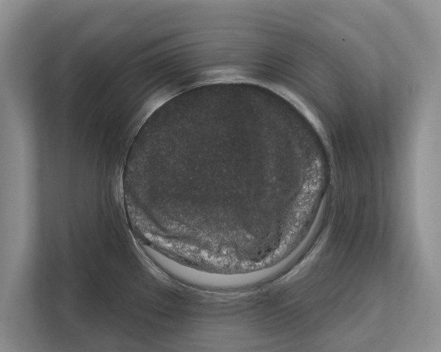 X0000112481289200909141136