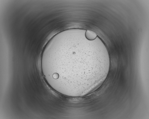 X0000112481290200909141136