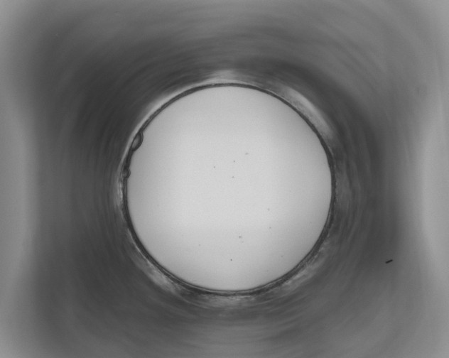 X0000112481292200909141136