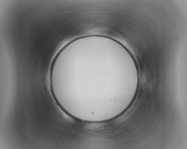 X0000112481294200909141136