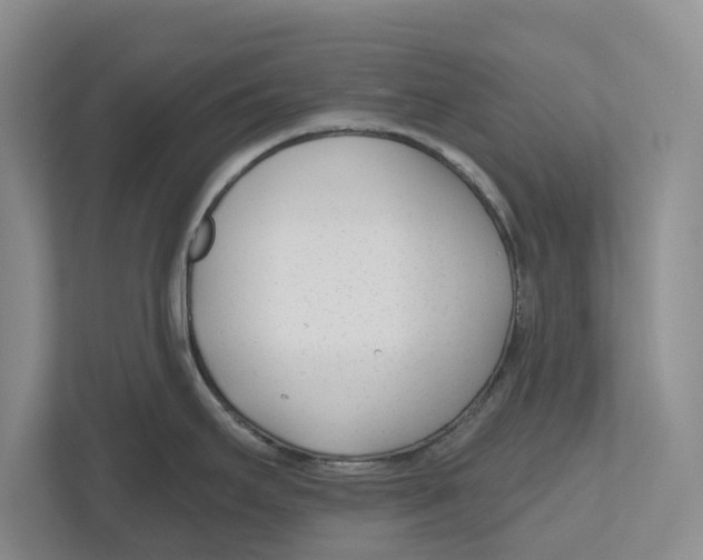 X0000112481295200909141136