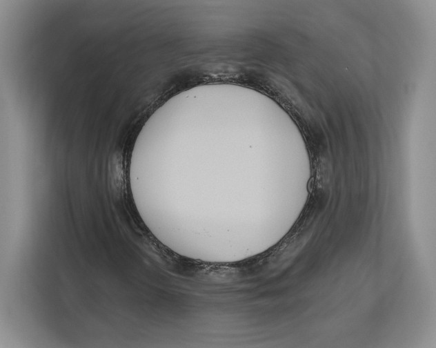 X0000112481298200909141135