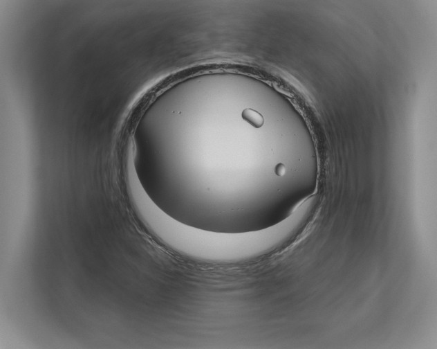 X0000112481310200909141135