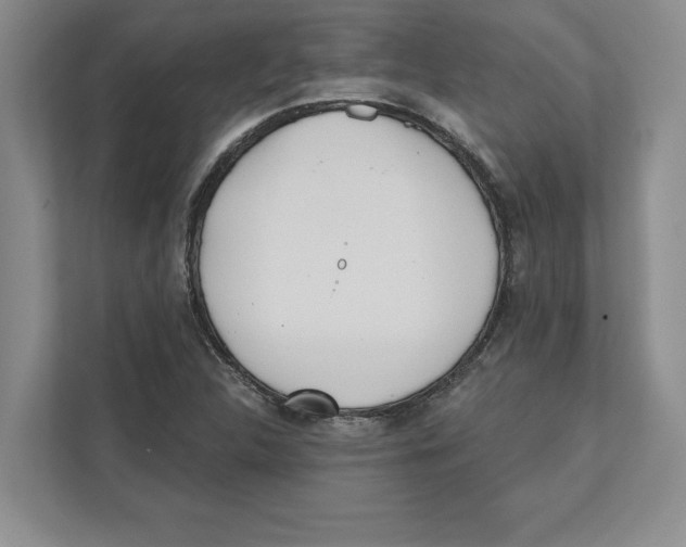 X0000112481312200909141135