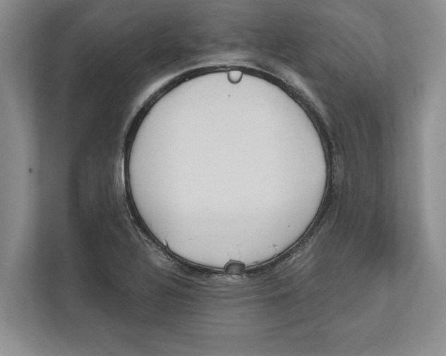 X0000112481320200909141136