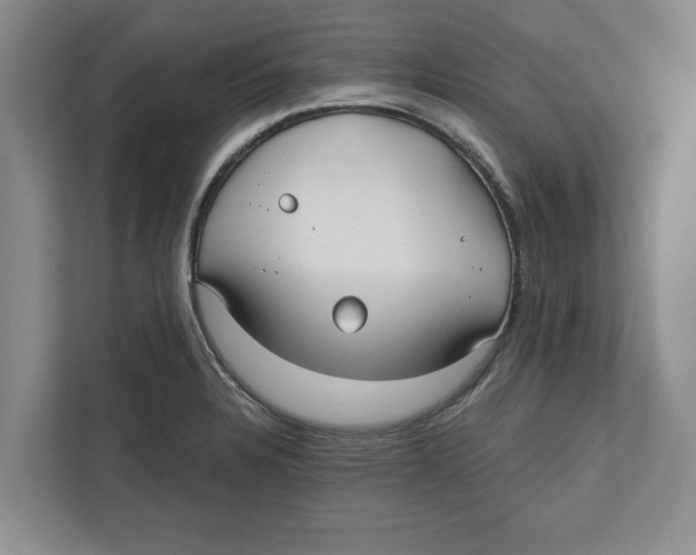 X0000112481328200909141136