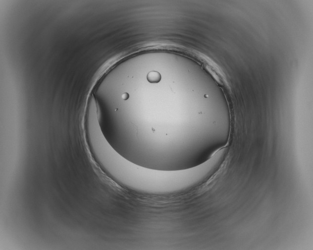 X0000112481330200909141136