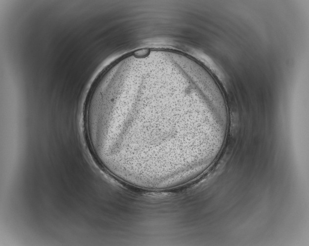 X0000112481331200909141136