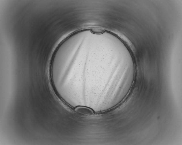 X0000112481333200909141136