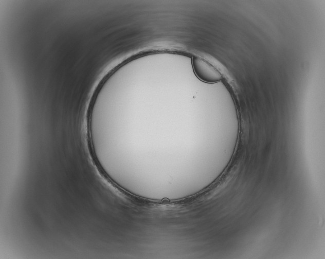 X0000112481335200909141136