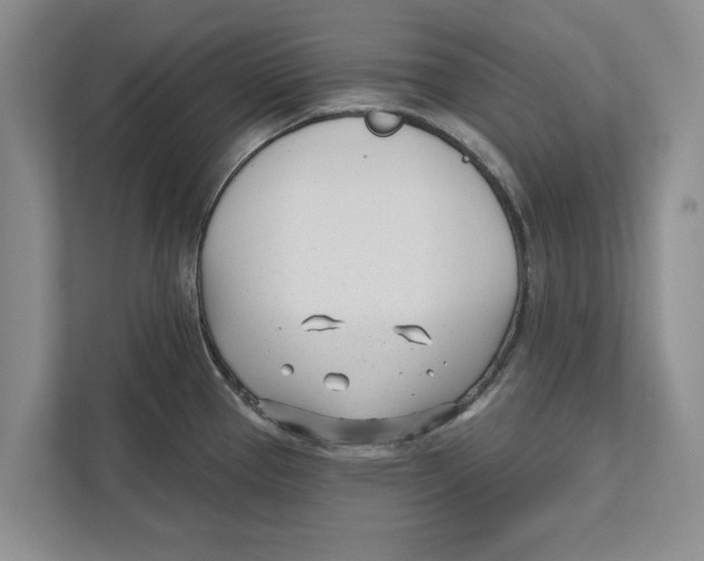 X0000112481337200909141136