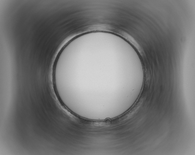 X0000112481339200909141136