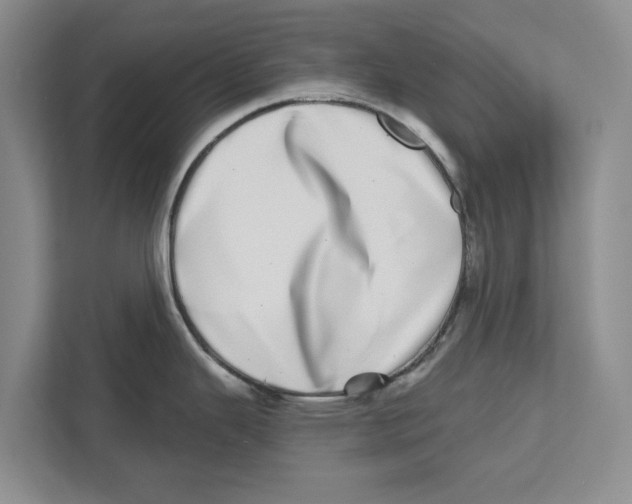 X0000112481343200909141136