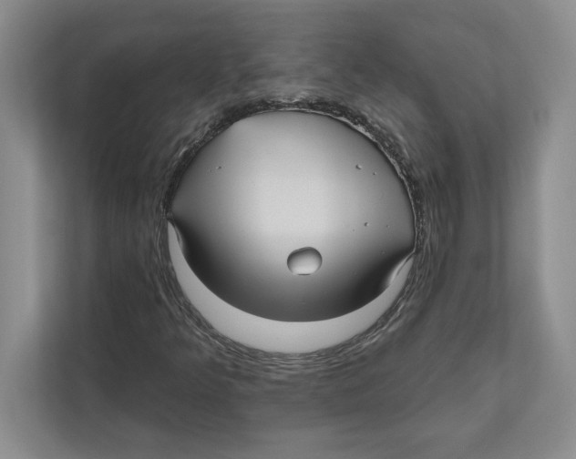 X0000112481349200909141135