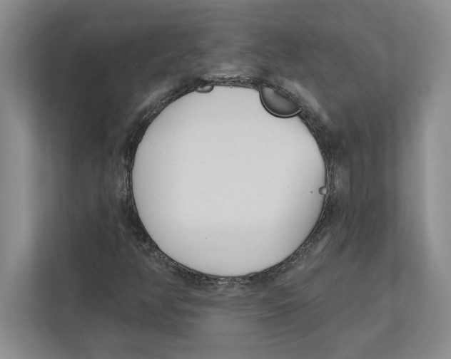 X0000112481350200909141135