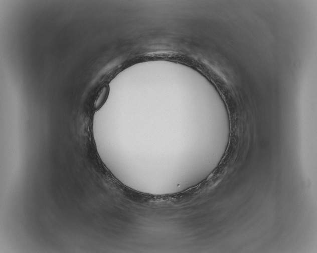 X0000112481351200909141135