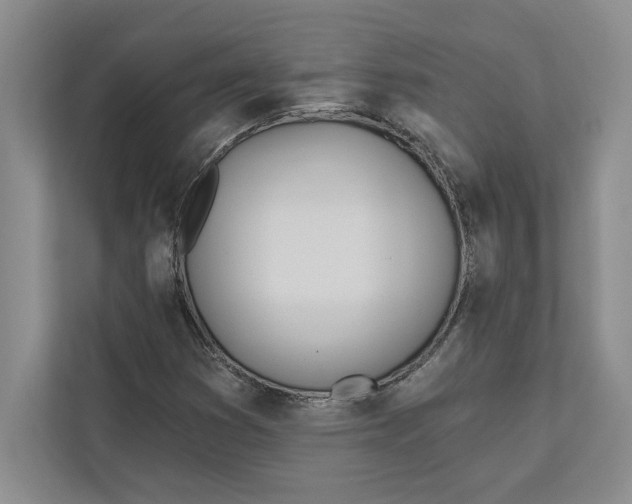 X0000112481353200909141135