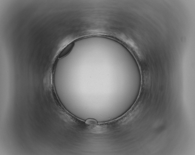 X0000112481365200909141135