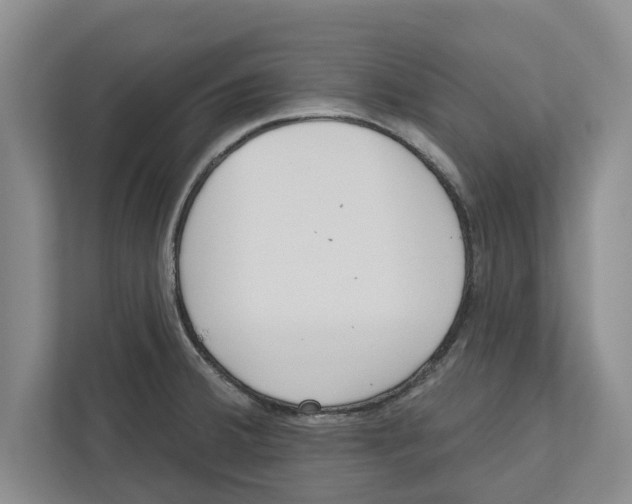 X0000112481380200909141135