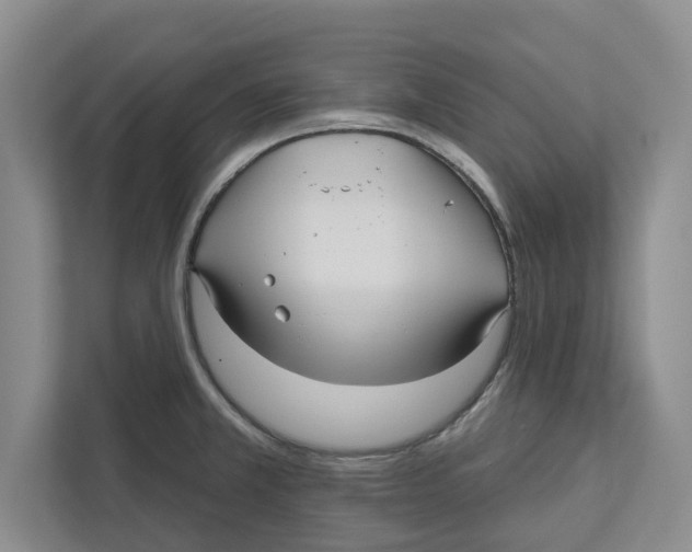 X0000112481381200909141135