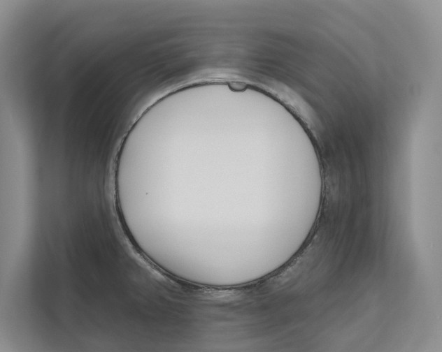 X0000112481382200909141135