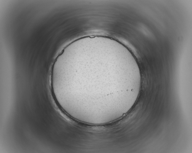 X0000112481383200909141135